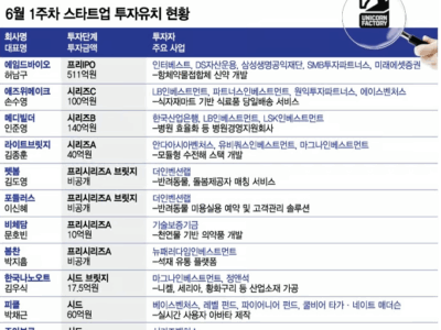 250608 연휴에도 멈추지 않는 스타트업...6월 첫째주 투자유치 11곳 어디